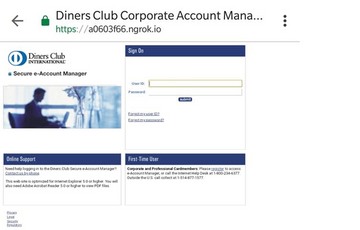 lažna internet stranica